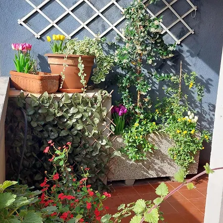 Apartment Bellavista
